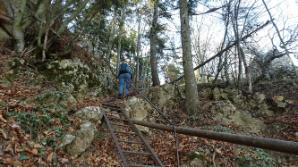 Am Steig aufwärts