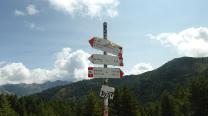 MTB Strecken gibt es auch