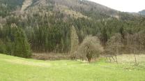 Hinab ins Tal