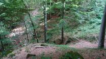 Waldweg hinab