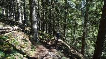 Abstieg im Wald