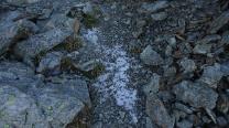 Schnee