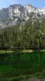 Grüner See