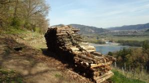 Holzstoß mit Aussicht?