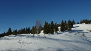 Fast geschafft, die Waldfreundehütte im Blick