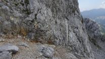 Querung, dann links rauf