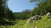 Ausblick am Ebersanger