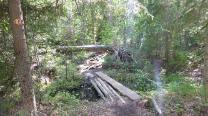 Feuchte Stellen werden mit Holzstegen überbrückt