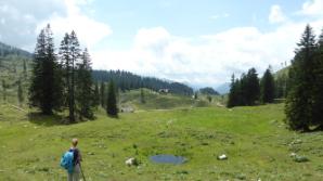 Ybbstaler Hütte rückt näher