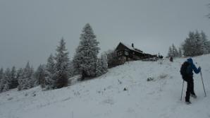 Waldfreundehütte