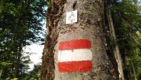 Markierungen