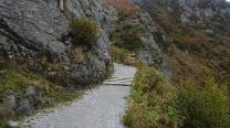 Am Weg zum Tillianer Joch