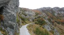 Am Weg zum Tillianer Joch