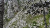 Blick zum weiteren Weg