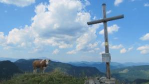 Am kleinen Königskogel