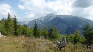 Aussichtsplatz mit Schneebergblick