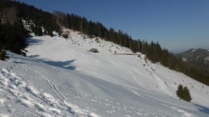 Über die Wiese hinauf