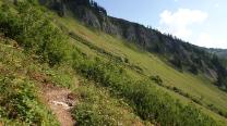 Knappensteig durchs Polsterkar