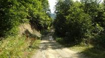 Auf der Straße weiter