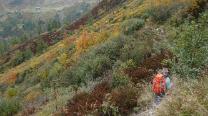 Durch Latschen und Wald