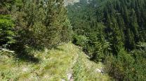 Südlicher Grafensteig
