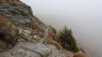 Am Weg zum Winkler Joch