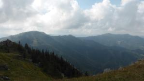 Blick zu Reisalpe und Muckenkogel