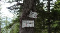 Am Ende des Steigs