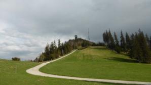 Zum Muckenkogel