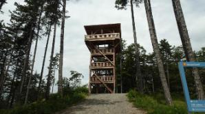 Aussichtsturm am Steinkogel 