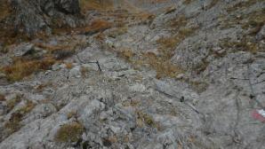 Blick zurück