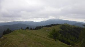 Schöner Wiesenkammweg