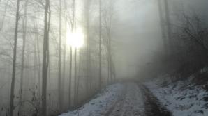 Sonne am Weg zur Lilienfelder Hütte