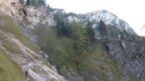 Gehgelände zur Schuttrinne und durch Wald