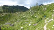 Zurück zur Hütte