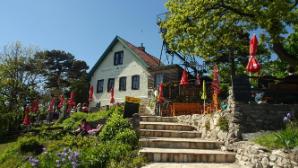 Pfaffstättner Kogel 550m/Rudolf Proksch Hütte/Klesheimwarte