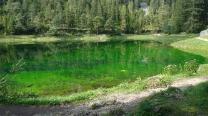 Grüner See