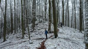 Schneeweg