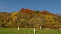 Abzweiger vom Ort Richtung Wald