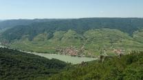 Ausblick vom Seekopf zur Donau