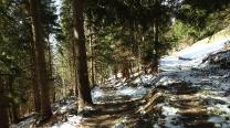 Blick zurück
