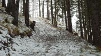 Blick zurück, wenig Schnee