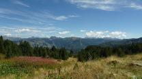 Blick zurück nach Osten