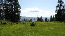 Ausblick nach Abstieg
