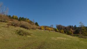 Richtung Wald