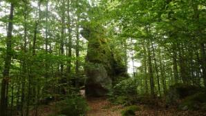 Am Druidenweg (der sitzende Hund)