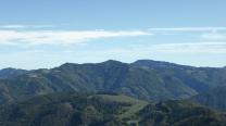 Ausblick zu Muckenkogel und Reisalpe