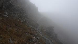 Wir wandern durch den Nebel