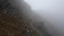 Wir wandern durch den Nebel