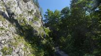 Kientalerhütte zwischen den Bäumen
